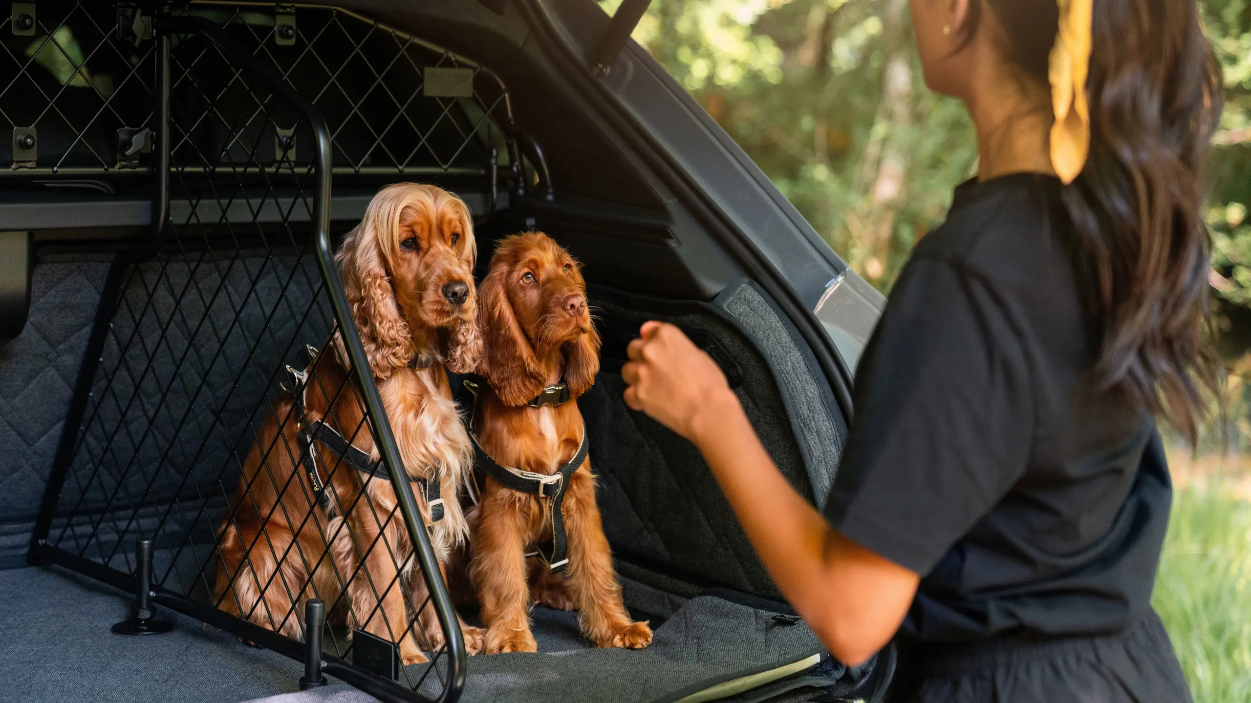Bentley Bentayga étend le luxe à ses compagnons à quatre pattes avec une nouvelle gamme d'accessoires pour animaux
