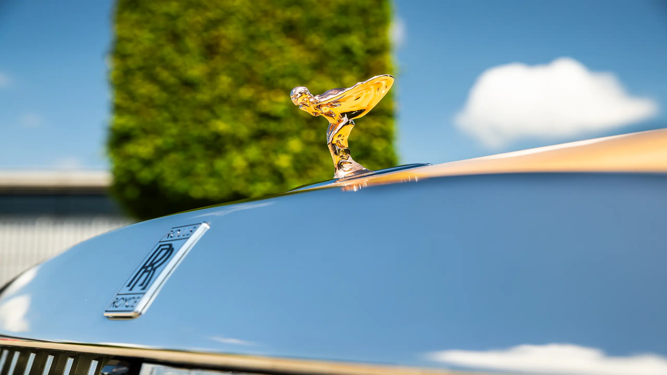 Article image Article image