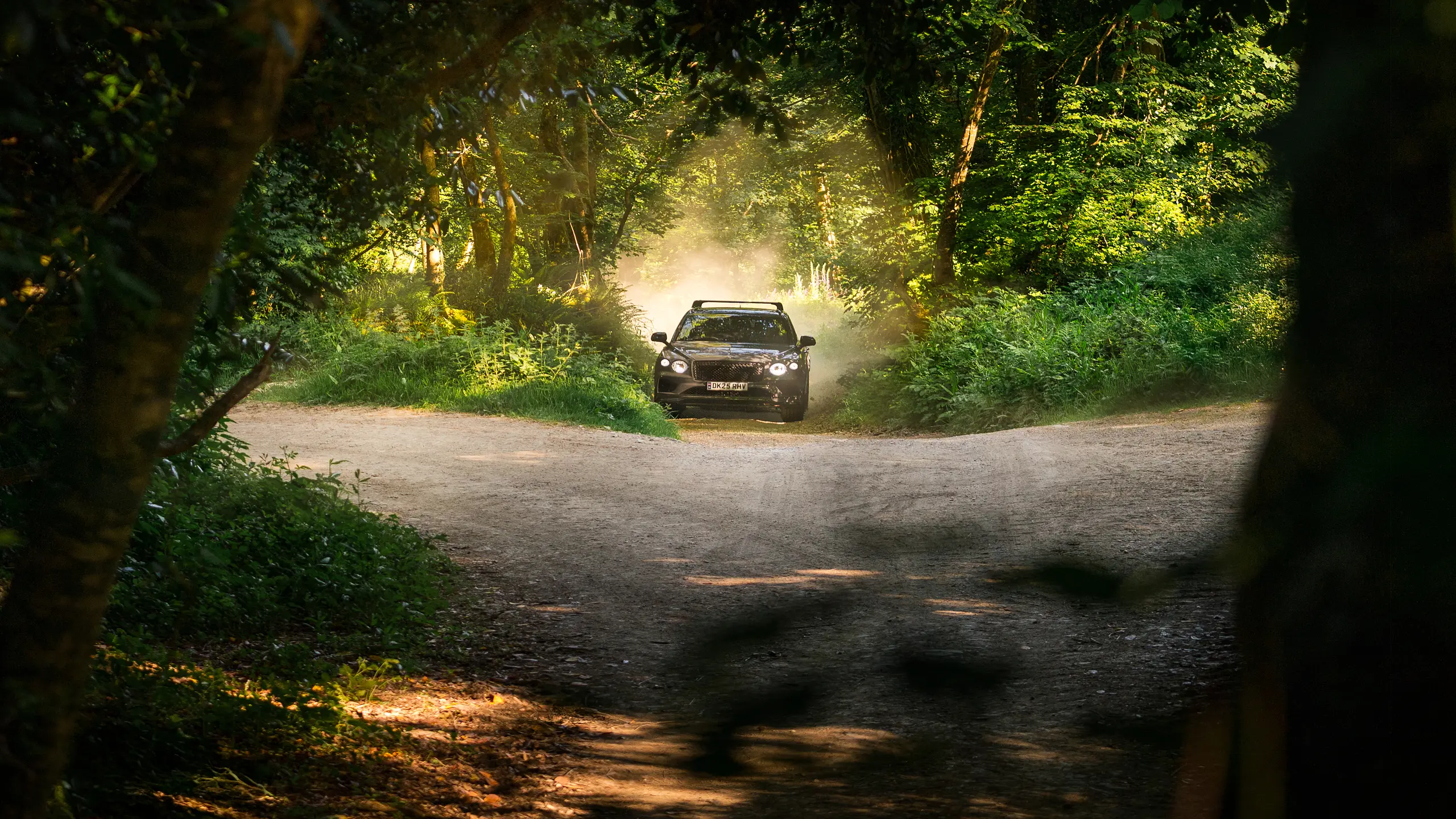 Article image Article image