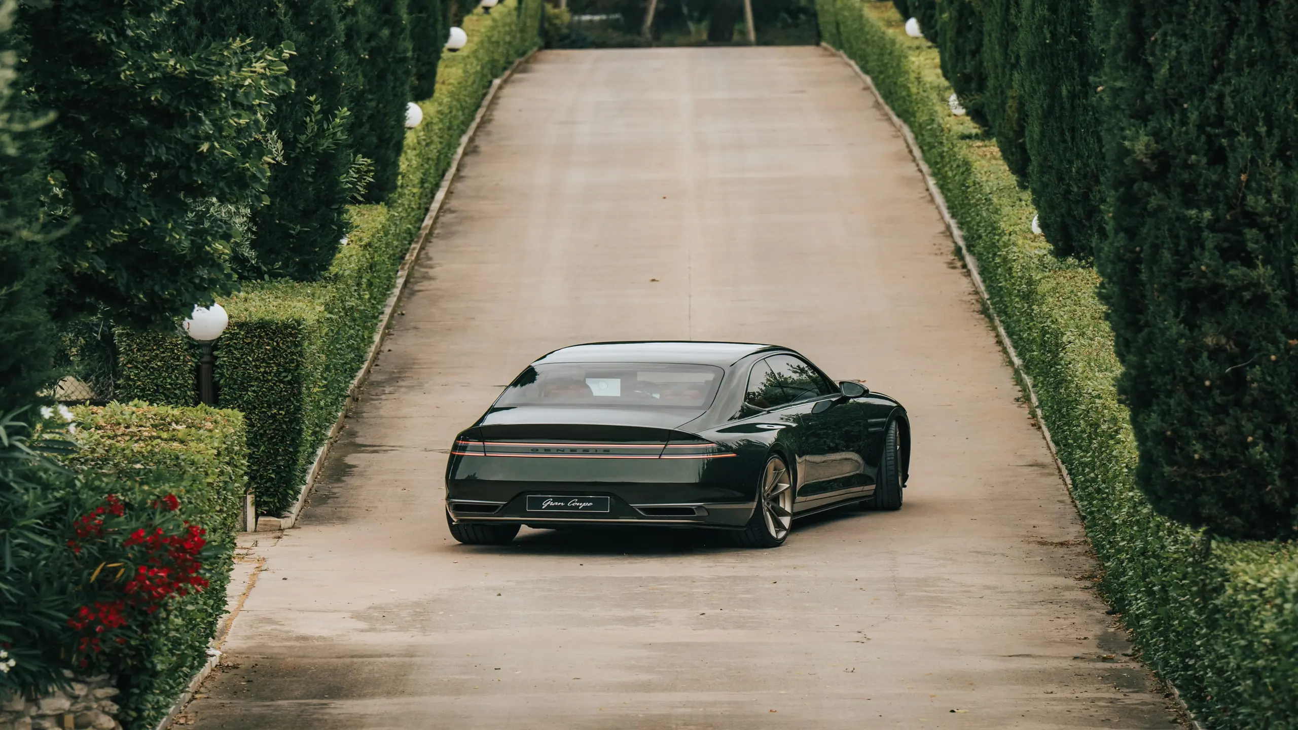 Article image Article image