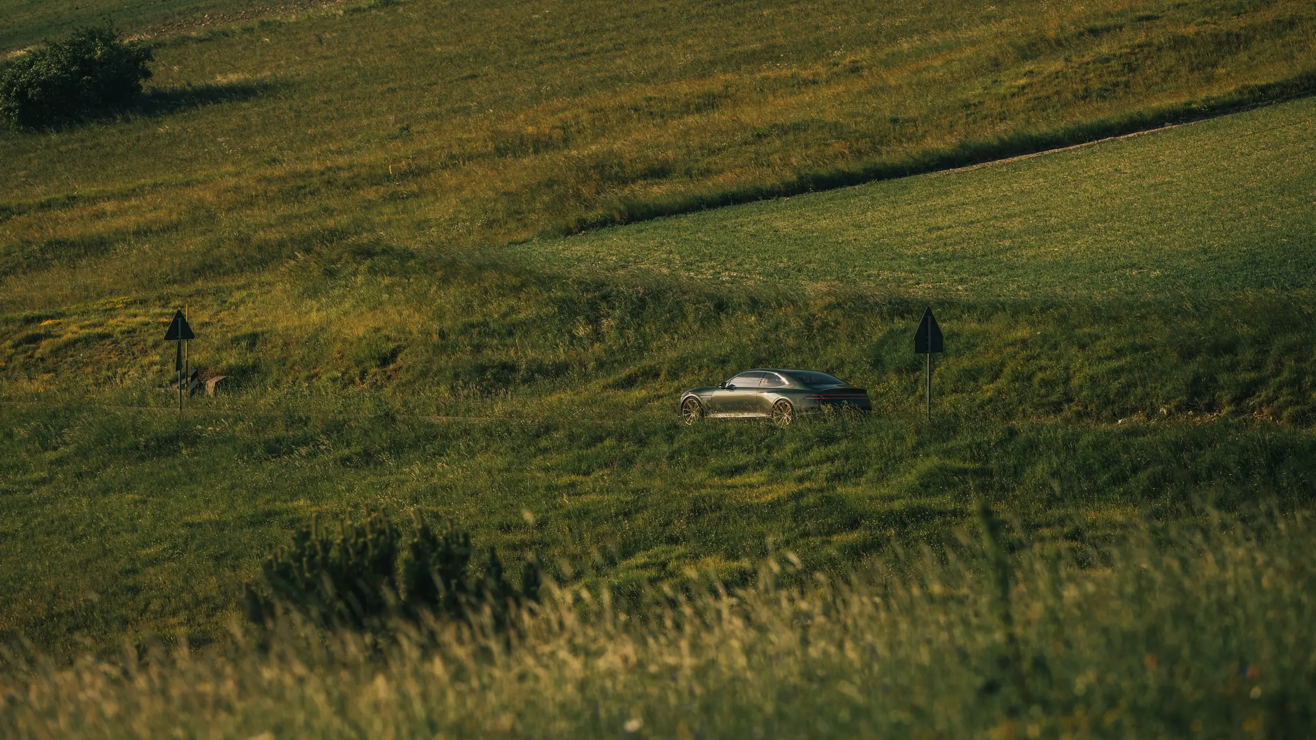 Article image Article image