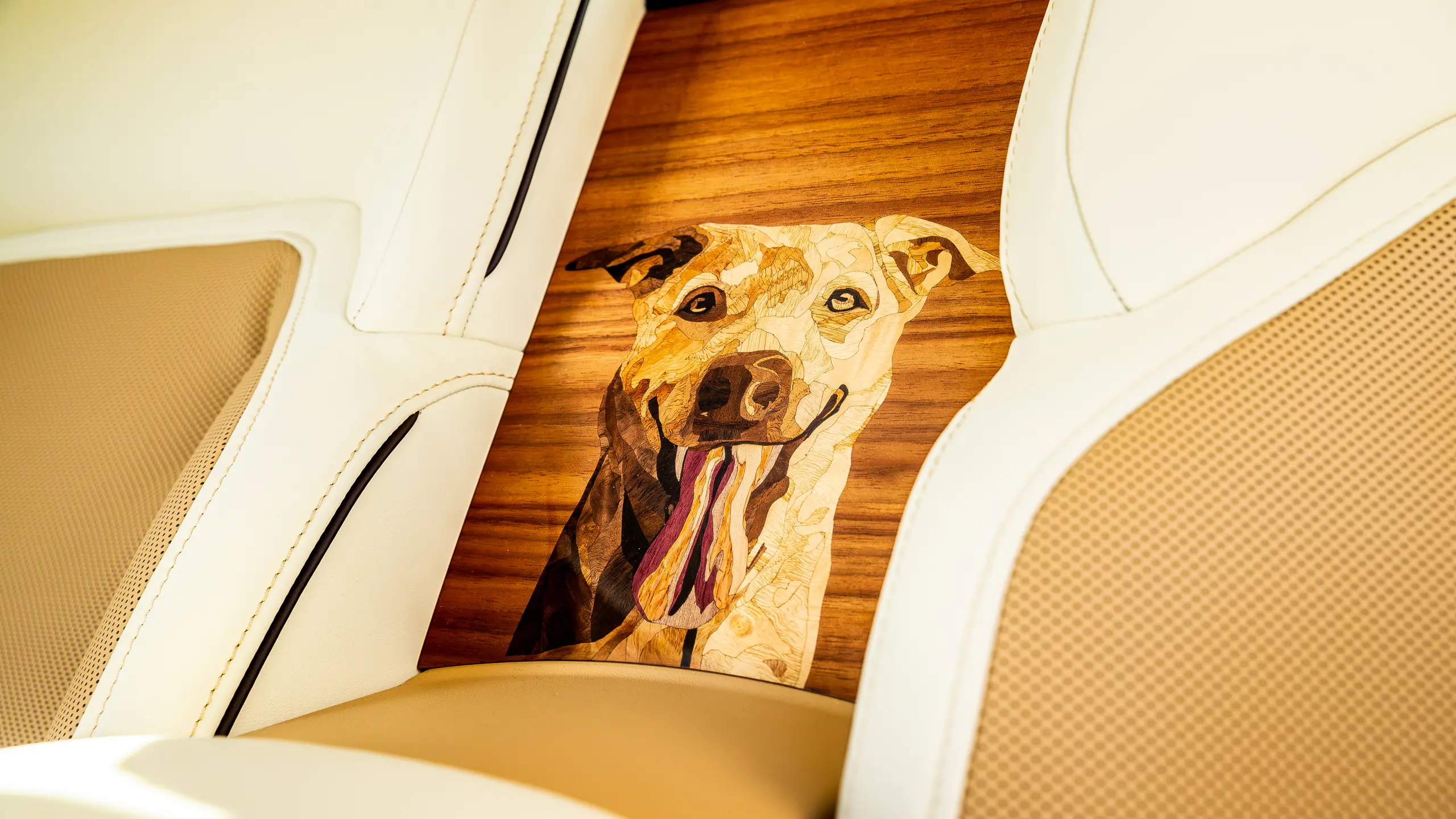 Article image Article image