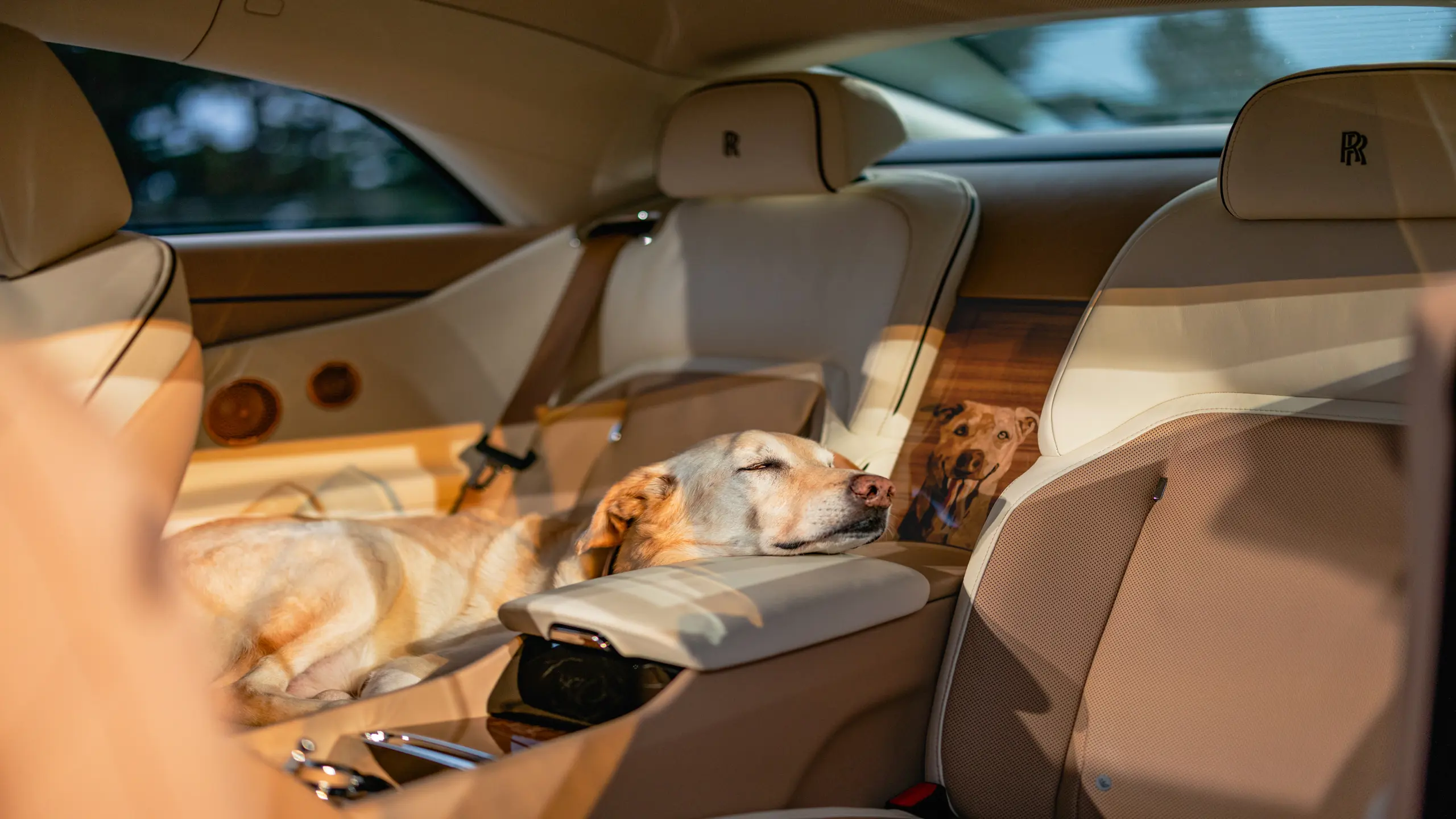 Rolls-Royce Spectre Bailey : une joyeuse ode à la camaraderie