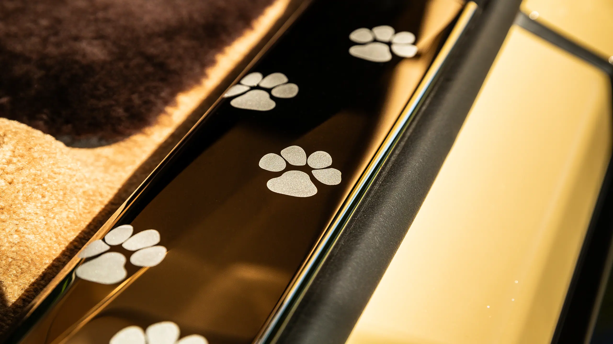 Article image Article image